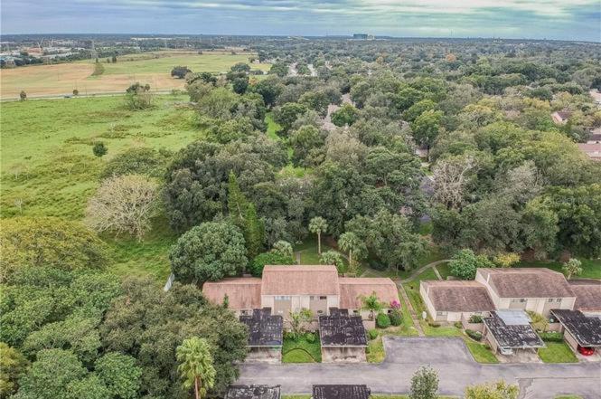 Cozy 3 Bed 2.5 Bath Located Near Busch Gardens Lejlighed Tampa Eksteriør billede
